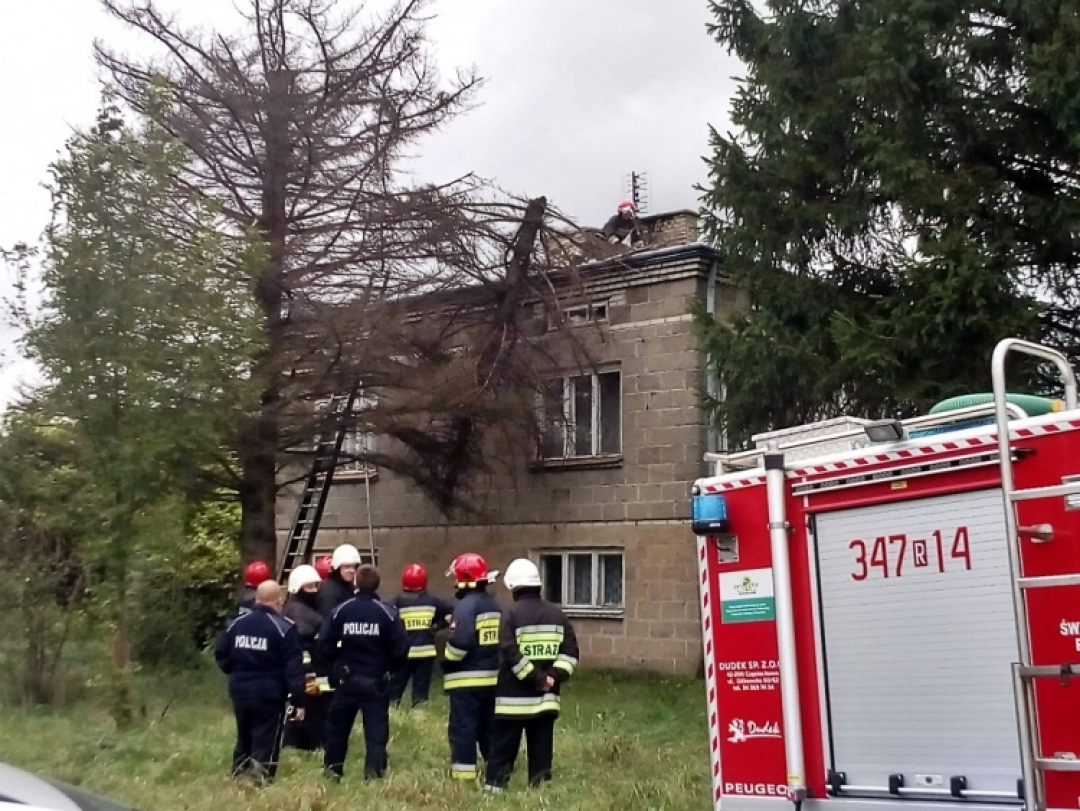 Usuwanie skutk&oacute;w silnych wiatr&oacute;w w Świerzowej Polskiej