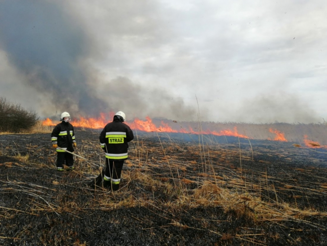 Seria wyjazd&oacute;w do pożar&oacute;w suchych traw