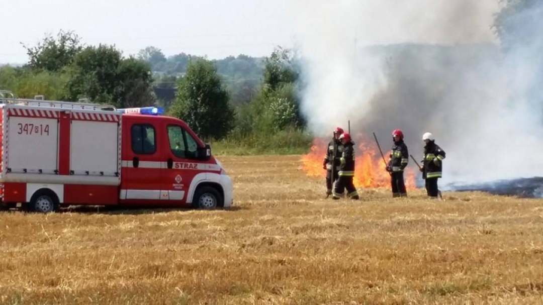 Pożar ścierniska i zakrzaczeń w Świerzowej Polskiej